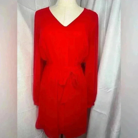 Express Red Dress - Picture 1 of 9